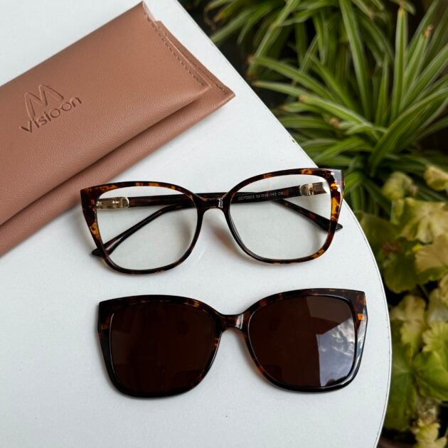 Lunettes pioneer 2en1